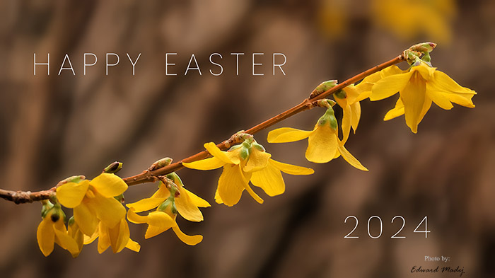 Happy Easter