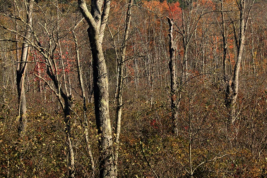 Poconos2