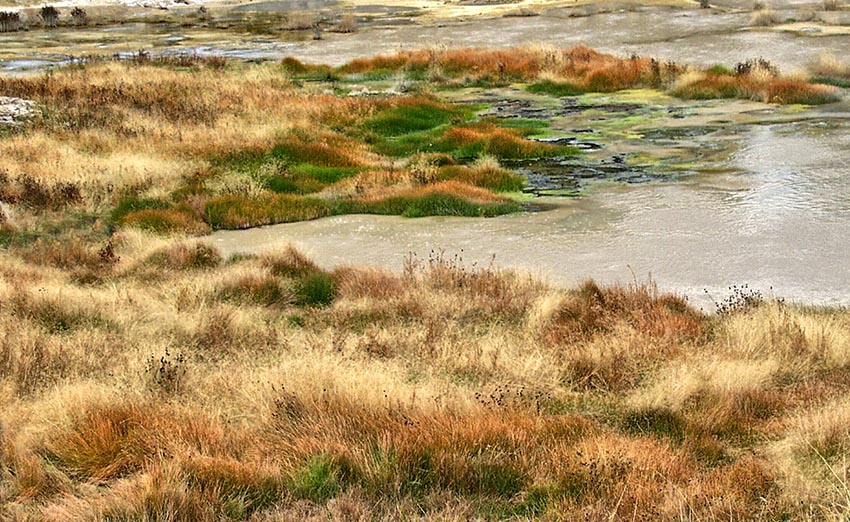 Yellowstone